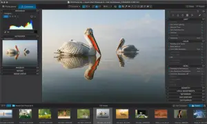 Logiciel de retouche photo Mac gratuit : deux pélicans se reflétant dans l'eau, avec les outils de DxO PhotoLab 9 visibles.