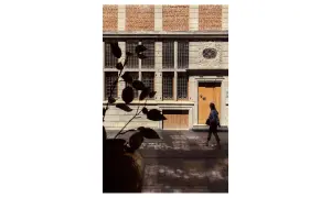 Photographie architecture : une femme passe devant une façade historique aux fenêtres multiples et à la porte en bois.