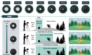 Illustration expliquant la profondeur de champ (PdC) et l'effet de l'ouverture sur la mise au point. Le mode priorité ouverture est essentiel pour contrôler la zone de netteté.