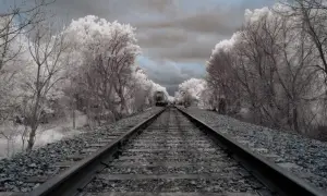 Voie ferrée menant à un train, entourée d'arbres aux feuilles blanches et d'un ciel sombre, dans un style photos infrarouge.