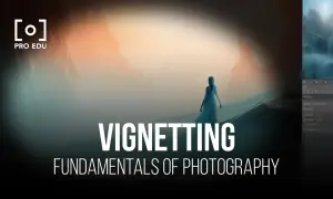 Une femme seule dans un paysage brumeux, avec le texte "Vignetting Fundamentals of Photography". L'effet de vignettage accentue le mystère.