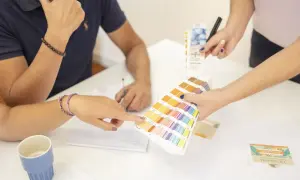 Des mains choisissent des couleurs sur un nuancier Pantone, lors d'une réunion de photo entreprises.