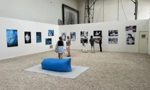 Visiteurs admirant un projet photo dans une galerie d'art. Des œuvres sur la maternité et la naissance sont exposées.