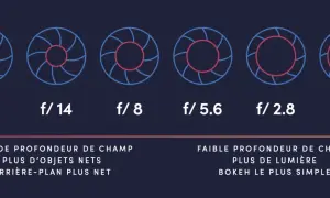 Diagramme montrant l'ouverture du diaphragme de f/22 à f/1.4, illustrant comment les photos nettes varient avec la profondeur de champ.