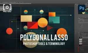 Dans Photoshop, l'outil lasso polygonal sélectionne des zones avec des tracés droits, idéal pour découper des formes géométriques.