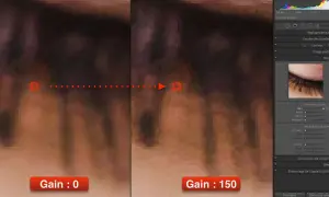 Comparaison de photo détail : gain 0 vs gain 150. Le gain augmente la netteté, mais peut aussi introduire du bruit.