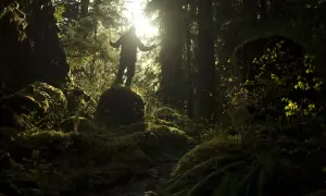 Mathieu Le Lay, silhouette d'un homme bras ouverts sur un rocher moussus, baigné par la lumière du soleil filtrant à travers la forêt dense.