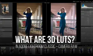 Comparaison avant/après d'une photo dans Lightroom, montrant l'effet d'un lut photoshop.