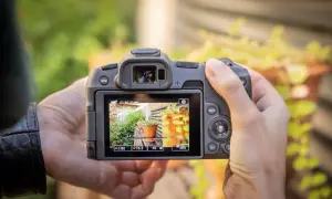 Test du Canon R8 : gros plan sur l'écran LCD affichant un jardin ensoleillé, avec les réglages de l'appareil photo visibles.