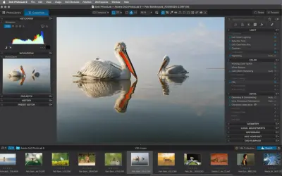 Logiciel de retouche photo Mac gratuit : deux pélicans se reflétant dans l'eau, avec les outils de DxO PhotoLab 9 visibles.