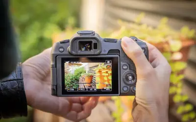 Test du Canon R8 : gros plan sur l'écran LCD affichant un jardin ensoleillé, avec les réglages de l'appareil photo visibles.