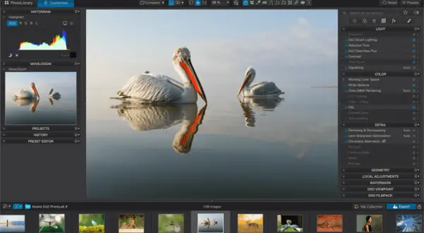 Logiciel de retouche photo Mac gratuit : deux pélicans se reflétant dans l'eau, avec les outils de DxO PhotoLab 9 visibles.