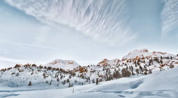 Paysage de montagne enneigé, avec des sapins clairsemés sur les pentes. Le ciel est bleu pâle avec des nuages filandreux. Une belle neige photo.