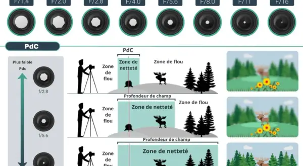 Illustration expliquant la profondeur de champ (PdC) et l'effet de l'ouverture sur la mise au point. Le mode priorité ouverture est essentiel pour contrôler la zone de netteté.