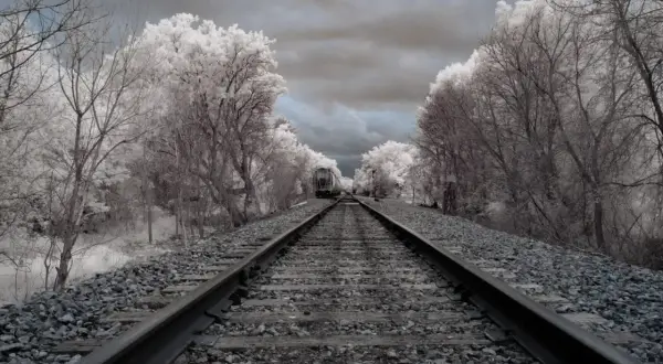 Voie ferrée menant à un train, entourée d'arbres aux feuilles blanches et d'un ciel sombre, dans un style photos infrarouge.