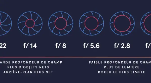 Diagramme montrant l'ouverture du diaphragme de f/22 à f/1.4, illustrant comment les photos nettes varient avec la profondeur de champ.