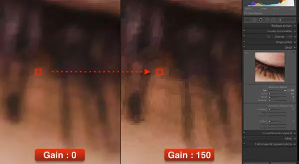 Comparaison de photo détail : gain 0 vs gain 150. Le gain augmente la netteté, mais peut aussi introduire du bruit.