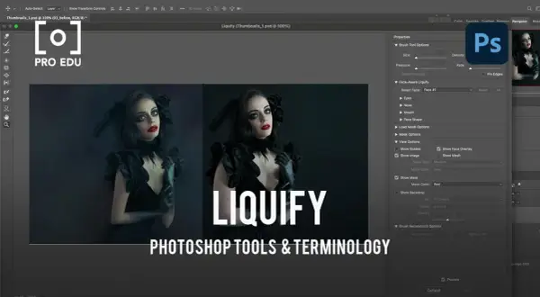 Interface Photoshop avec l'outil Fluidité activé, montrant des options pour retoucher un visage.