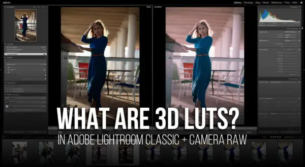 Comparaison avant/après d'une photo dans Lightroom, montrant l'effet d'un lut photoshop.