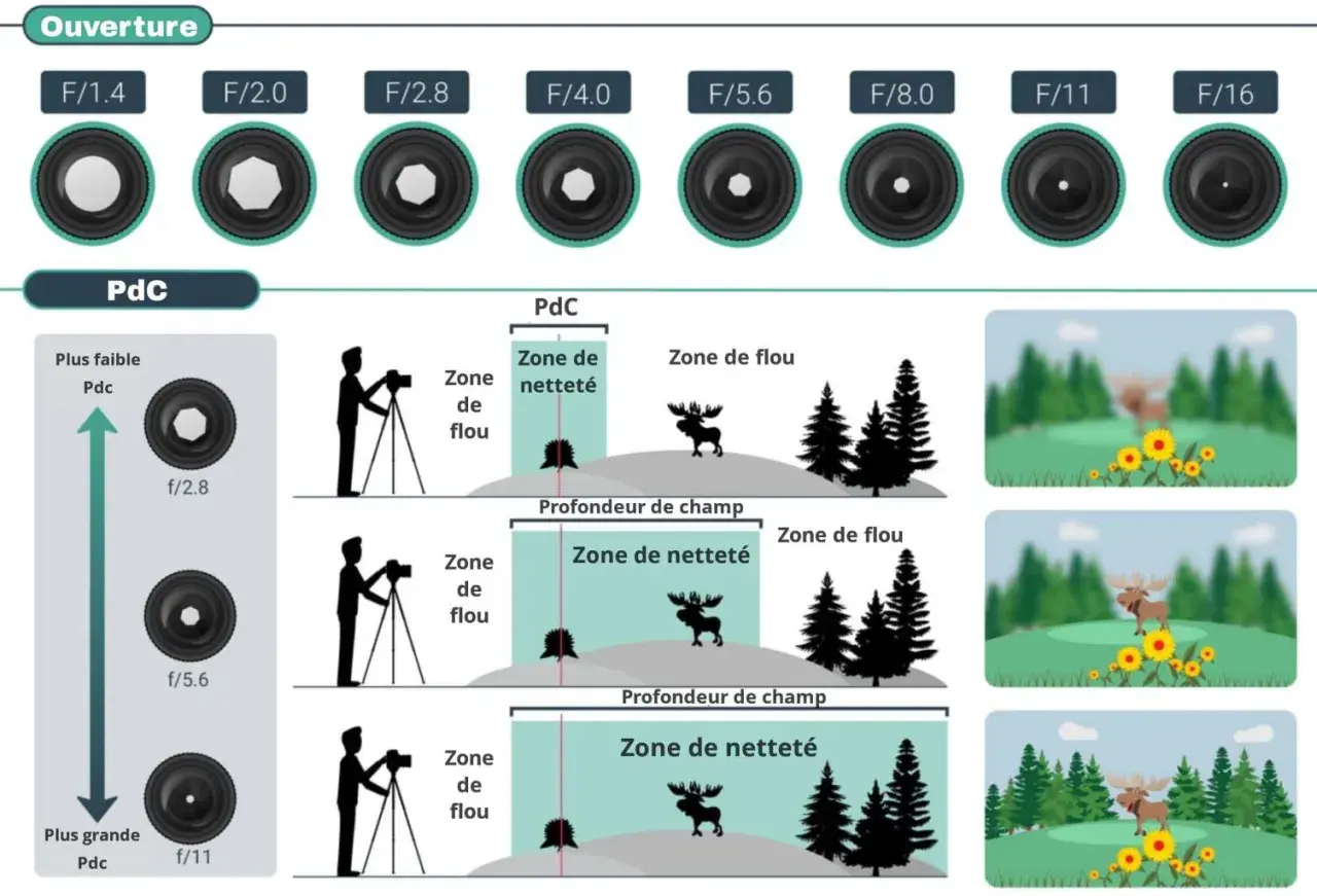 Illustration expliquant la profondeur de champ (PdC) et l'effet de l'ouverture sur la mise au point. Le mode priorité ouverture est essentiel pour contrôler la zone de netteté.