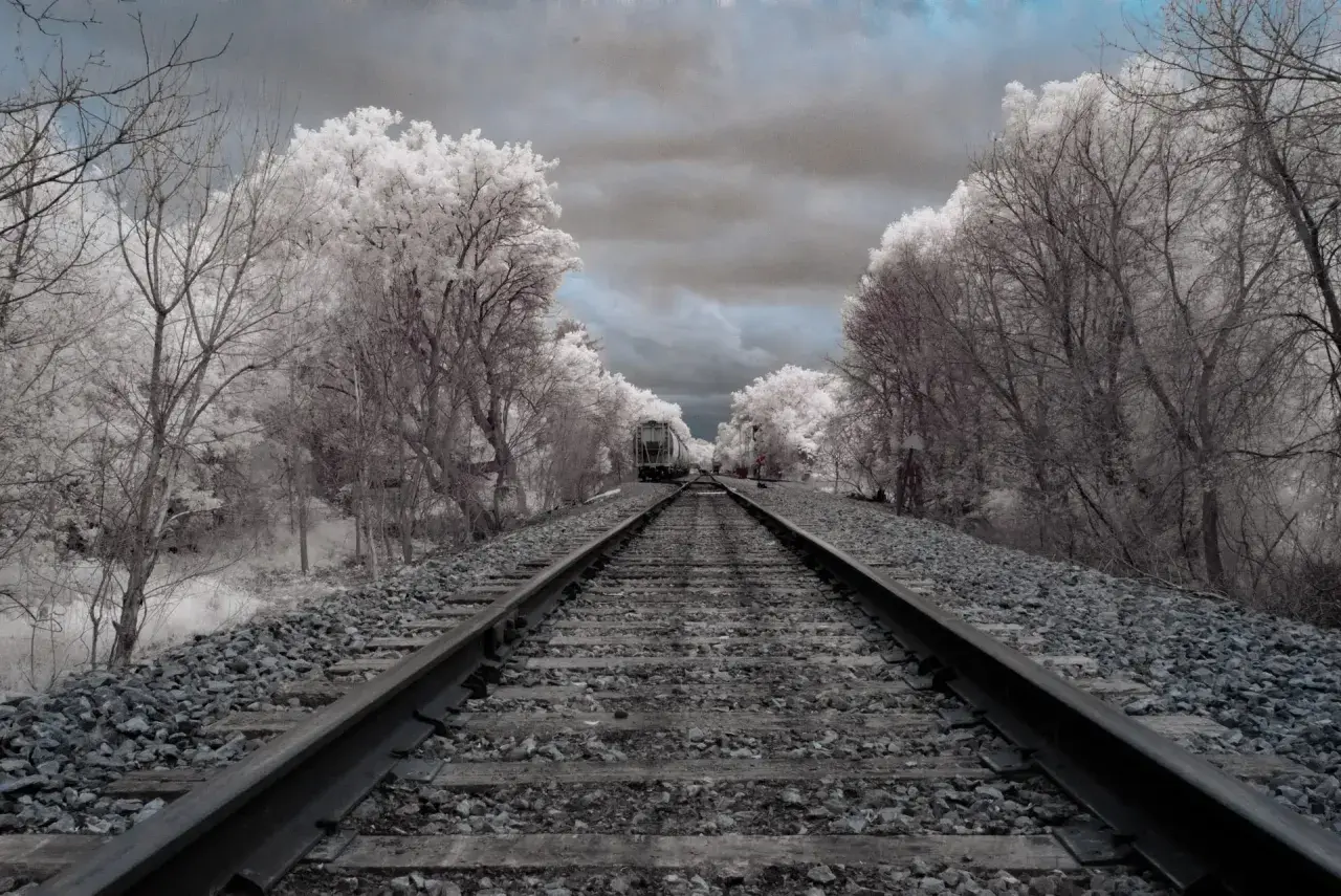 Voie ferrée menant à un train, entourée d'arbres aux feuilles blanches et d'un ciel sombre, dans un style photos infrarouge.
