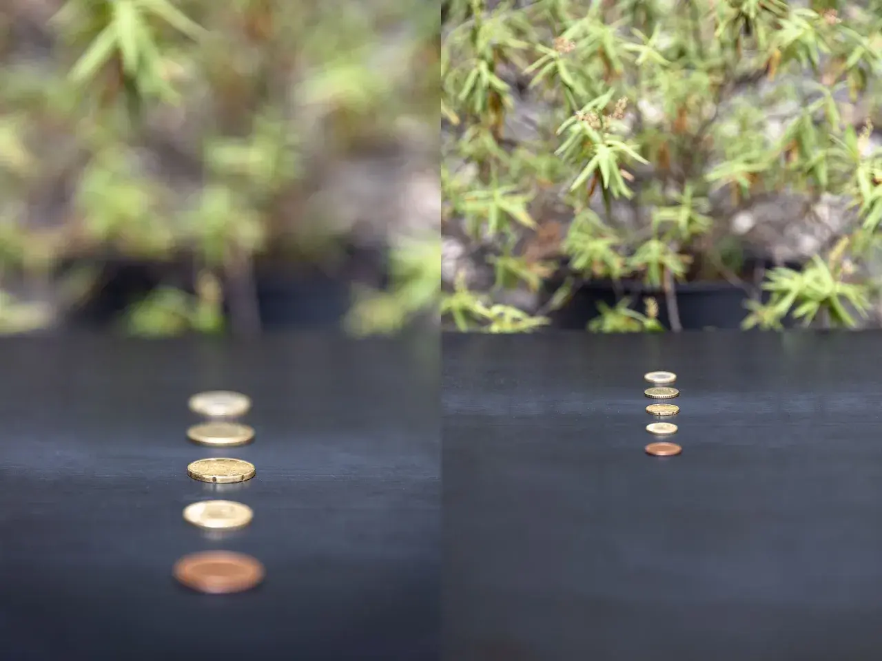 Cinq pièces de monnaie alignées sur une surface sombre, vues en perspective.