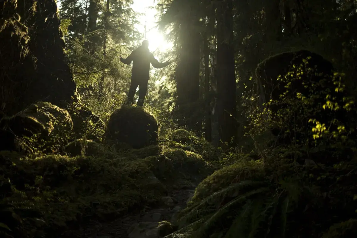 Mathieu Le Lay, silhouette d'un homme bras ouverts sur un rocher moussus, baigné par la lumière du soleil filtrant à travers la forêt dense.