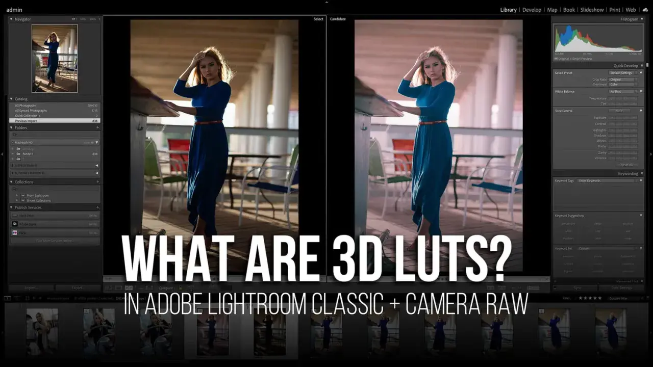 Comparaison avant/après d'une photo dans Lightroom, montrant l'effet d'un lut photoshop.