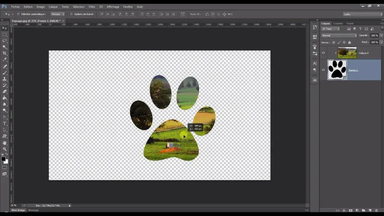 Un paysage est visible à travers les empreintes d'une patte, créant un effet de masque d'écretage Photoshop.