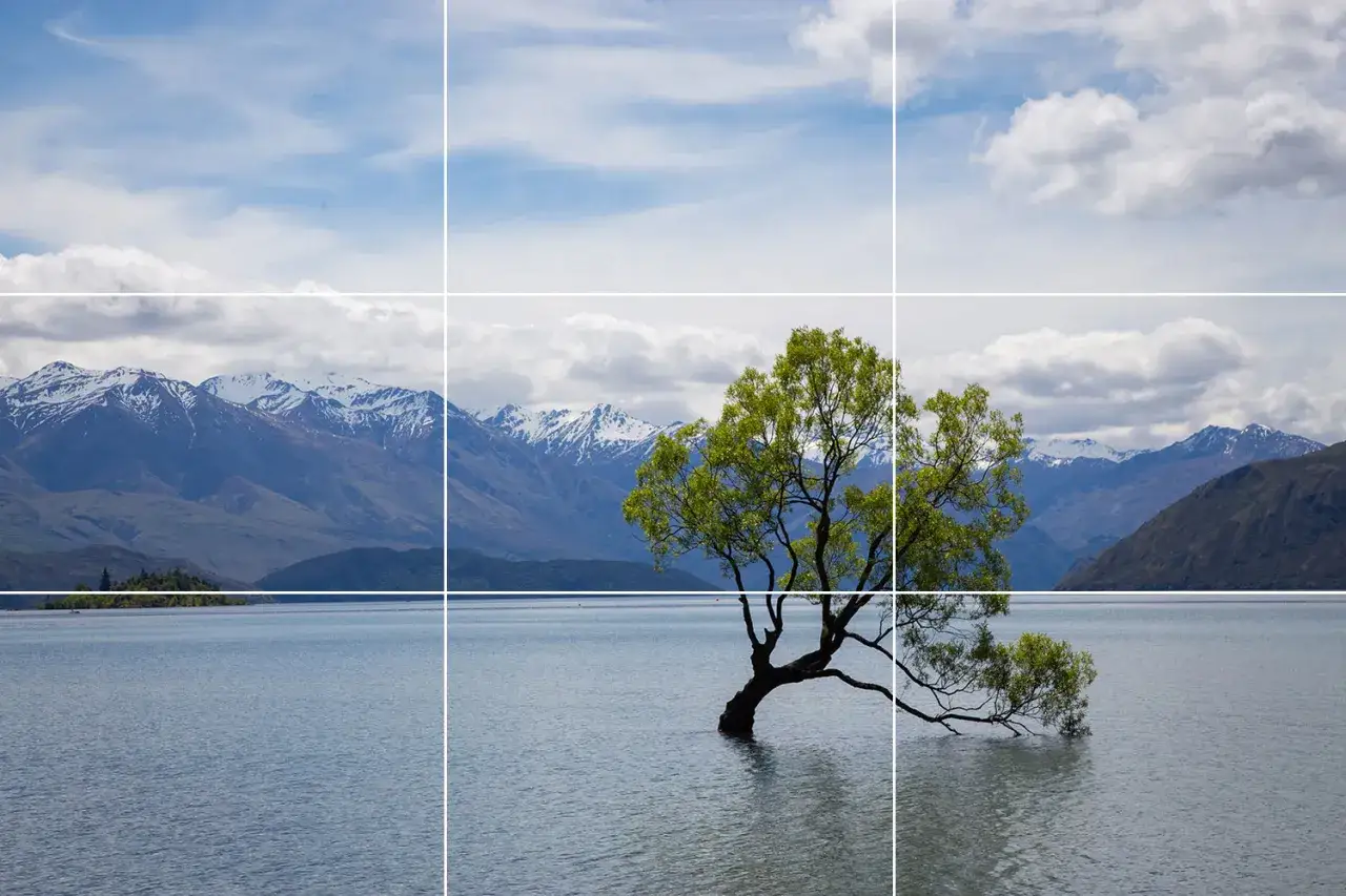 Photographie de paysage : un arbre solitaire &eacute;merge des eaux calmes d'un lac, avec des montagnes enneig&eacute;es en arri&egrave;re-plan sous un ciel nuageux.