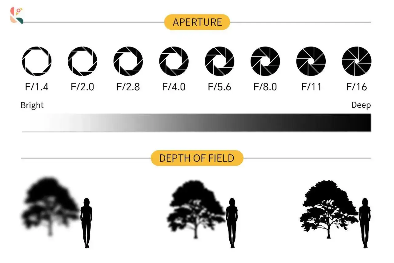 Illustration de la mise au point photographie : différentes ouvertures (f/1.4 à f/16) et leur impact sur la profondeur de champ, de flou à net.