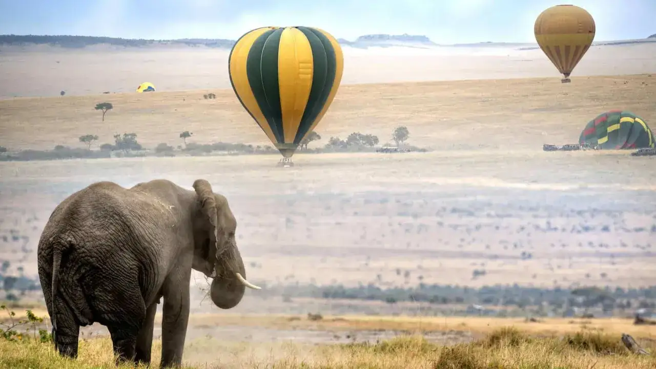 Un éléphant se tient dans la savane du Kenya, tandis que des montgolfières colorées flottent au-dessus, offrant une vue unique de ce photo safari.