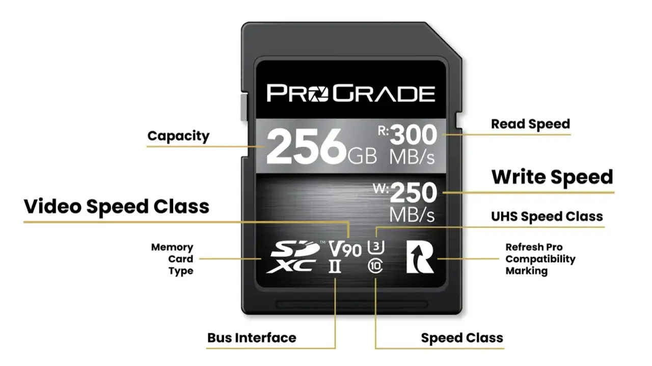 Carte SD ProGrade 256 Go, id&eacute;ale pour choisir la carte SD de votre appareil photo. Vitesse d'&eacute;criture 250 Mo/s, lecture 300 Mo/s. V90.