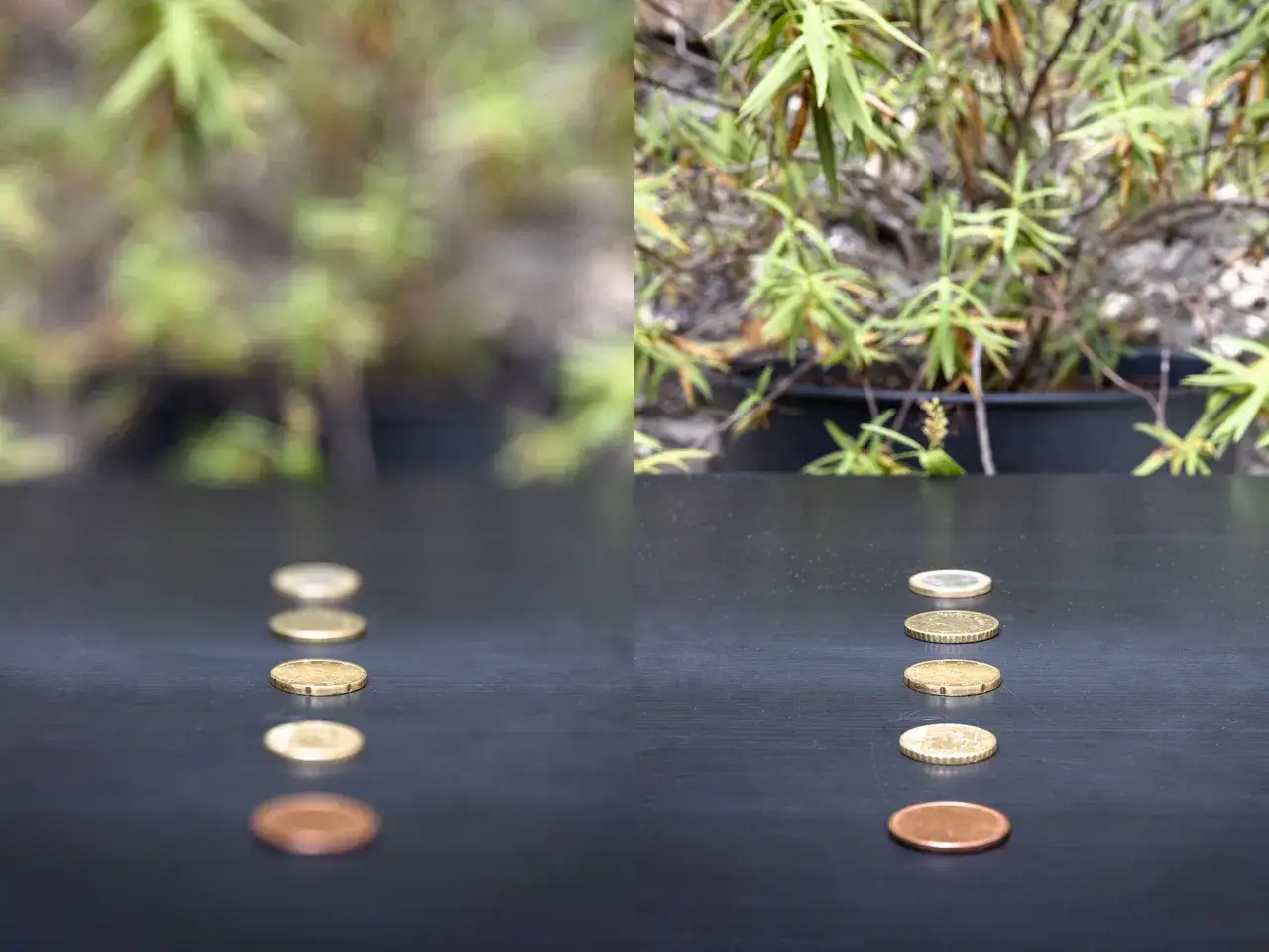 Pi&egrave;ces de monnaie align&eacute;es sur une table, avec un arri&egrave;re-plan flou &agrave; gauche et net &agrave; droite, illustrant le mode priorit&eacute; ouverture.