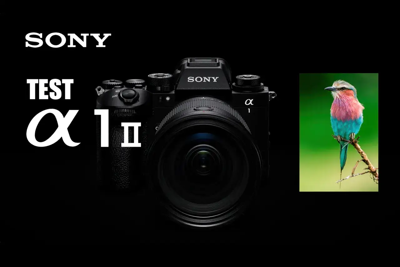 Test du Sony Alpha 1 II : un appareil photo professionnel prêt à capturer des merveilles, comme ce magnifique oiseau aux couleurs vives.