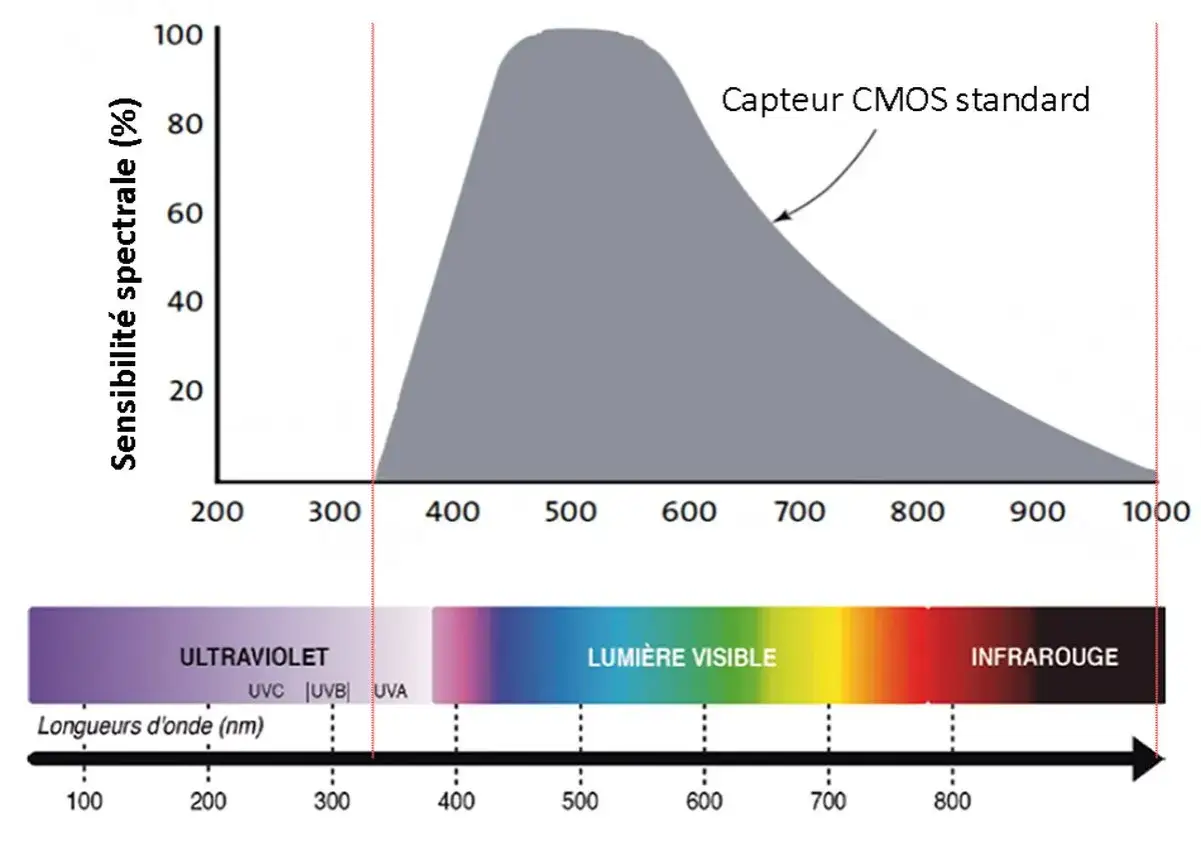 Courbe de sensibilité spectrale d'un capteur CMOS standard, montrant sa réponse de 200 à 1000 nm, incluant UV, lumière visible et infrarouge. Ce graphique illustre l'efficacité d'un filtre photo.