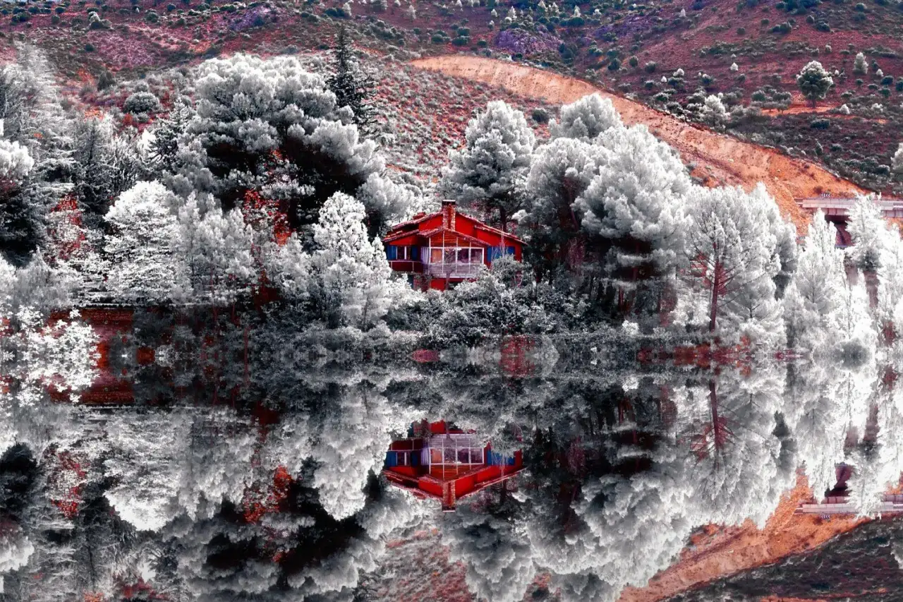 Maison rouge nichée dans des arbres aux teintes étranges, reflets aquatiques saisissants. Ces photos infrarouges révèlent un paysage onirique.