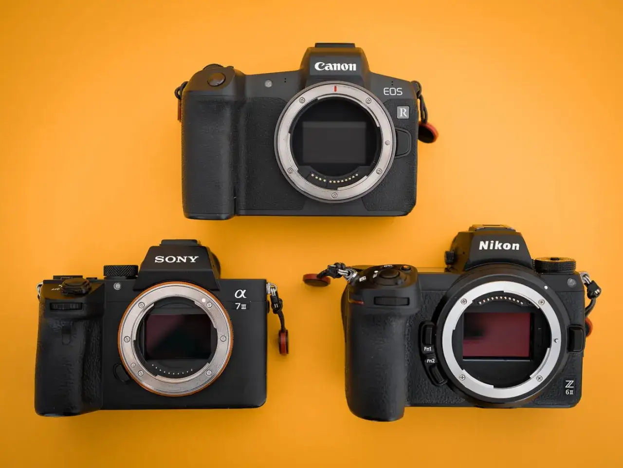 Trois appareils photo sans miroir : un Canon EOS R, un Sony Alpha 7 III et un Nikon Z6 II. Le Canon 6D Mark IV n'est pas présent.
