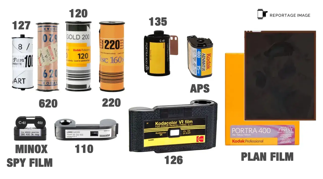 Collection de pellicules de photographie argentique : 127, 620, 120, 220, 135, APS, Minox, 110, 126 et Plan Film.
