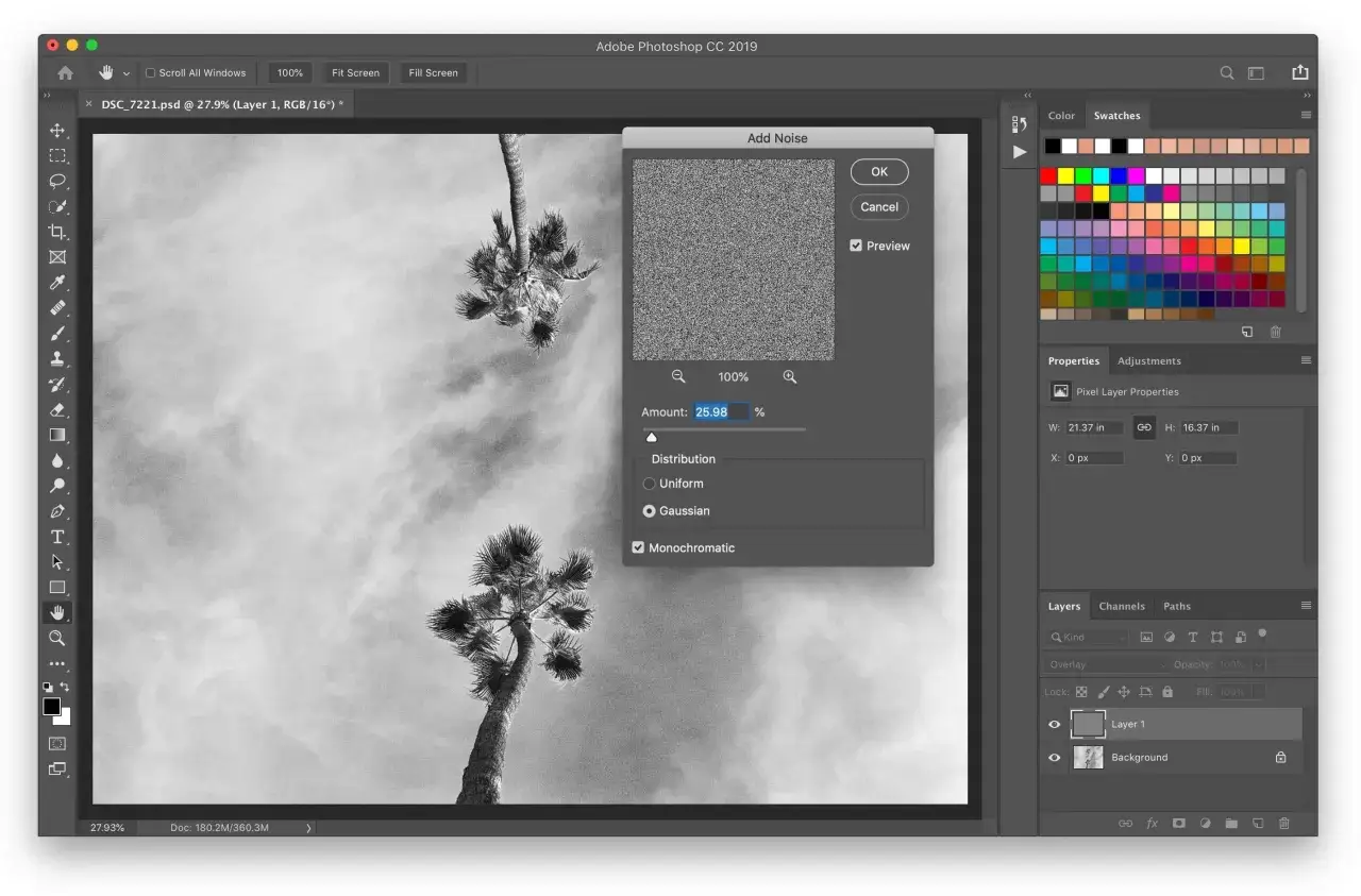 Dans Photoshop, l'ajout de grain &agrave; une photo de palmiers pour un effet artistique.