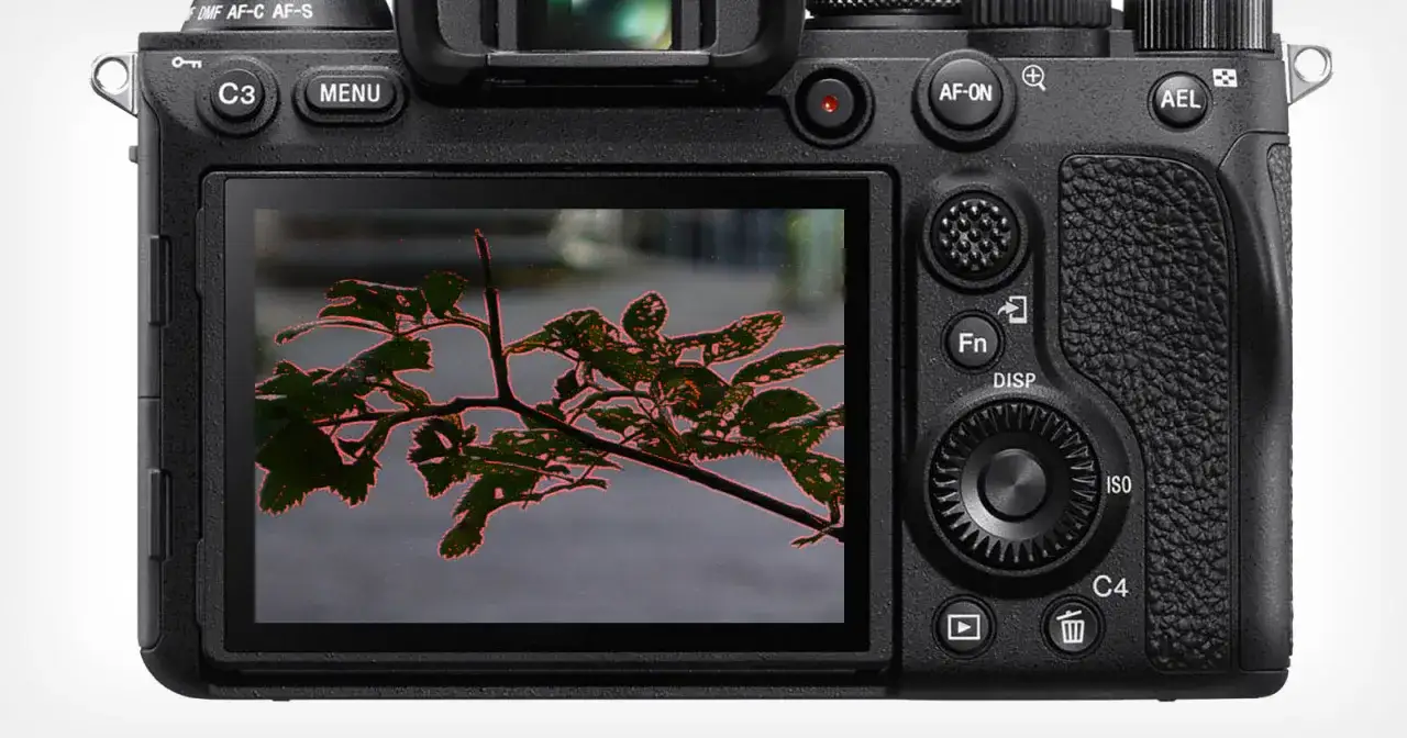 Gros plan sur l'&eacute;cran d'un appareil photo, montrant une branche de feuilles avec un contour rouge vif, signe du focus peaking activ&eacute; pour une mise au point pr&eacute;cise.