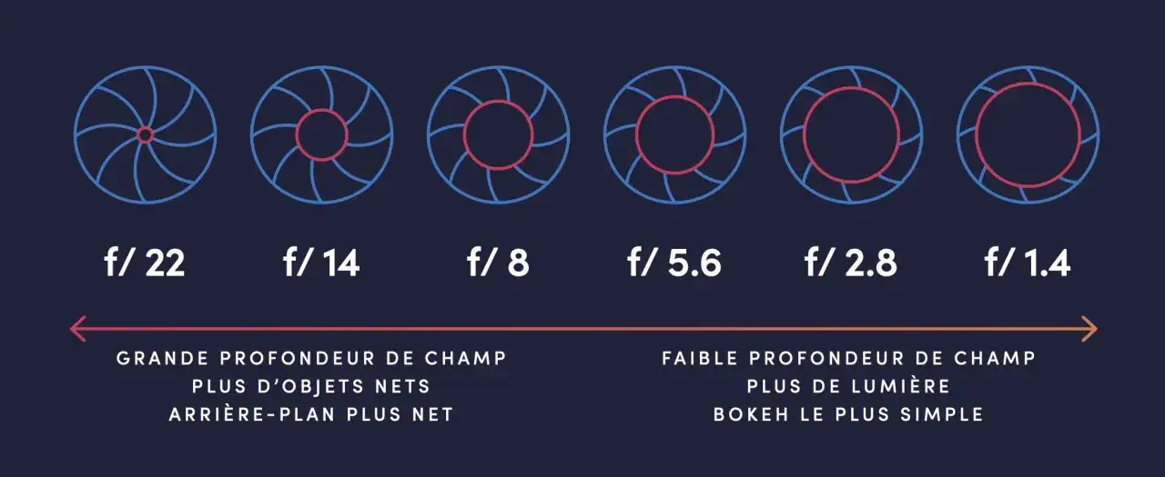 Diagramme montrant l'ouverture du diaphragme de f/22 &agrave; f/1.4, illustrant comment cela affecte la profondeur de champ et la nettet&eacute; des photos.