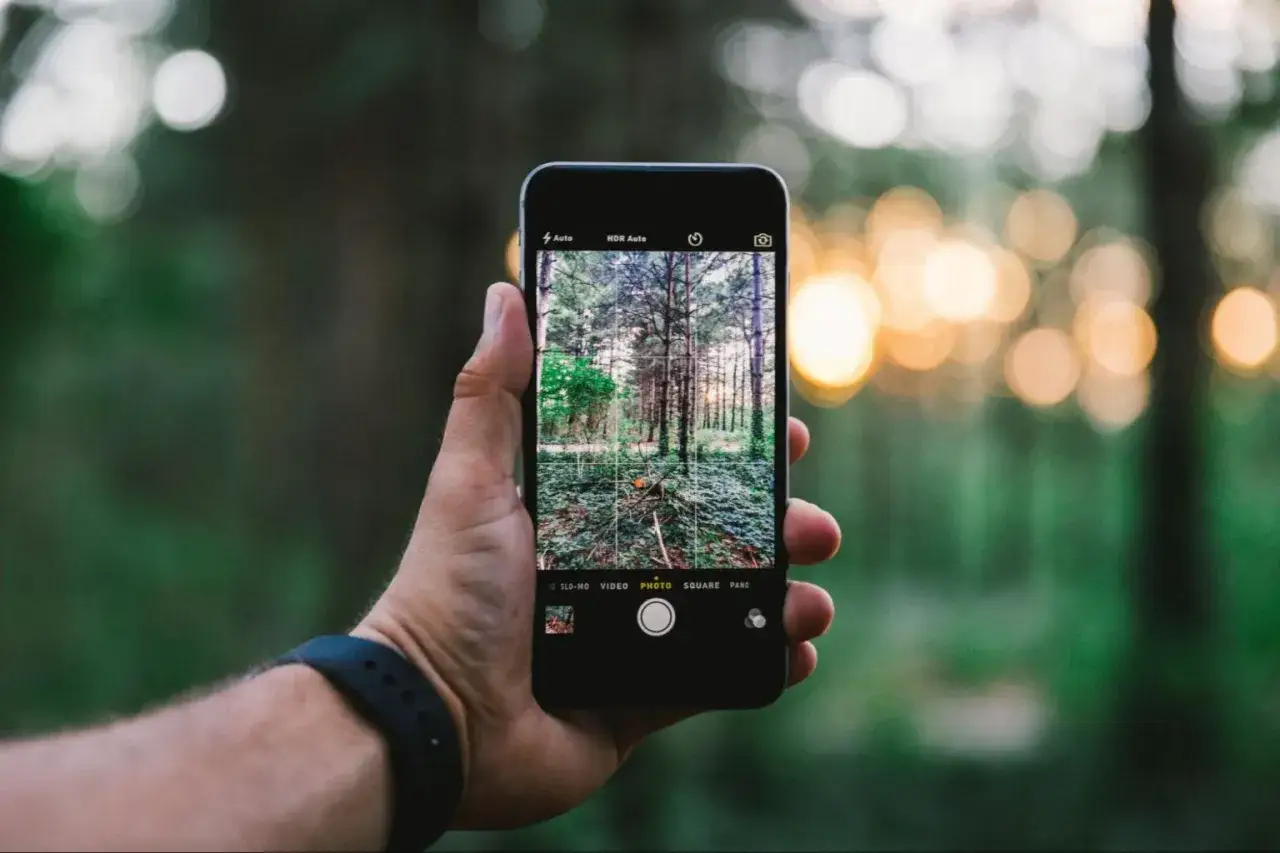 Main d'une personne tenant un smartphone, affichant l'interface de l'appareil photo avec un paysage forestier. Les paramètres de l'appareil photo Android sont visibles.