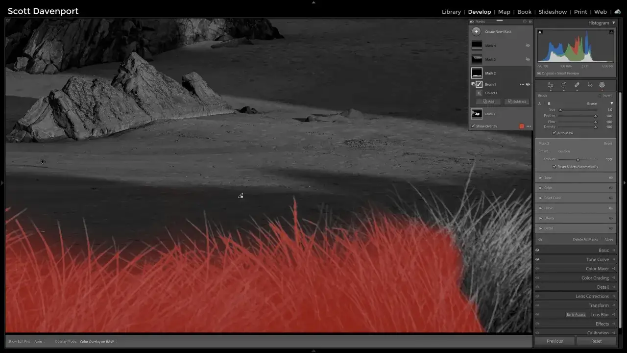Lightroom permet de sélectionner des zones d'une photo, comme cette herbe rouge sur fond noir et blanc, pour en ajuster les couleurs ou la luminosité.