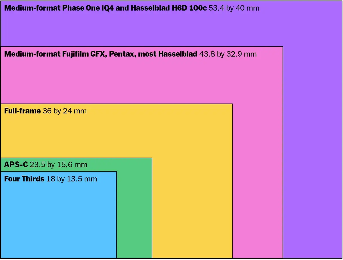 Comparaison visuelle des tailles de capteurs photo : du plus grand format moyen au plus petit capteur micro 4/3.
