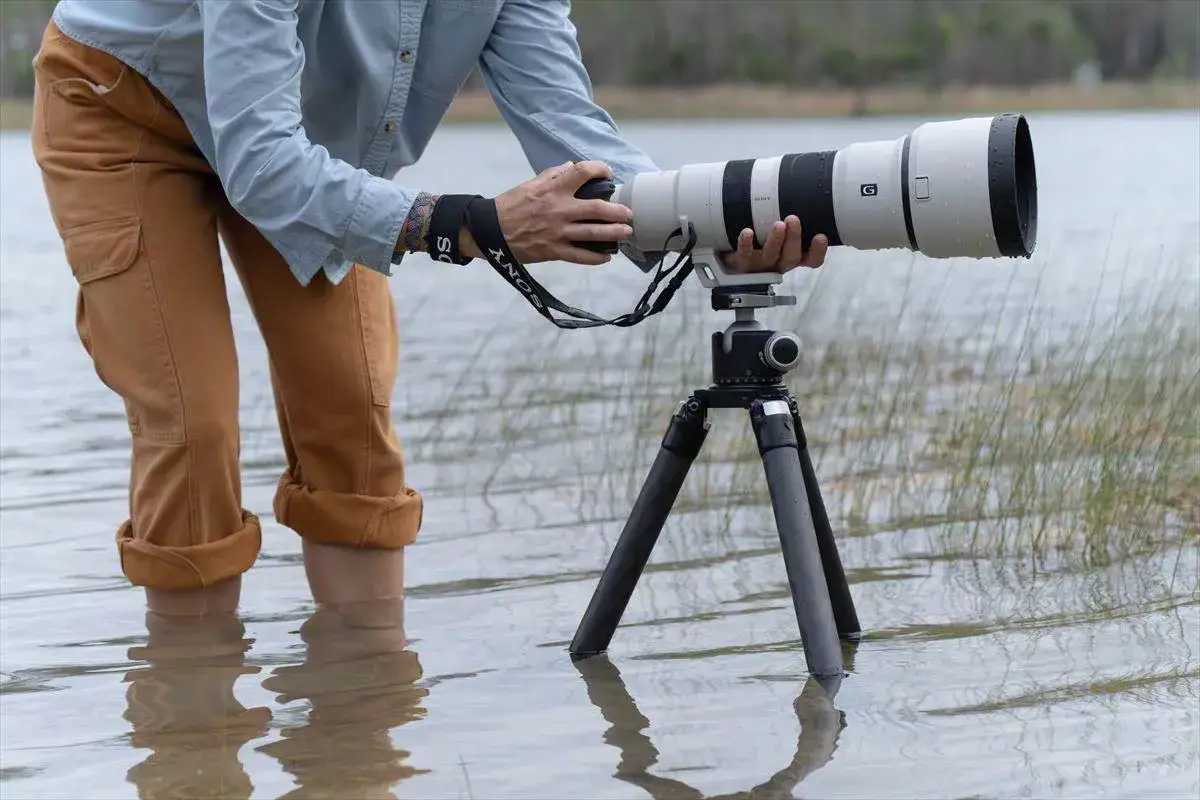Photographie animalière : un photographe, bottes retroussées dans l'eau, ajuste un imposant téléobjectif sur un trépied, prêt à capturer la faune.