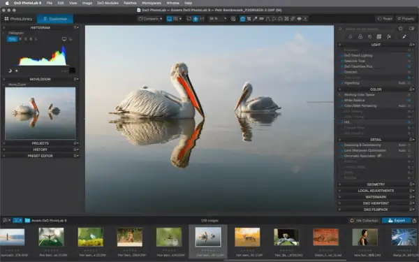 Logiciel de retouche photo Mac gratuit : deux pélicans se reflétant dans l'eau, avec les outils de DxO PhotoLab 9 visibles.