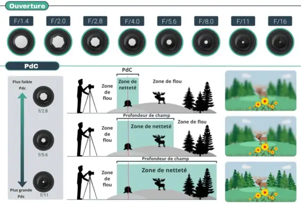 Illustration expliquant la profondeur de champ (PdC) et l'effet de l'ouverture sur la mise au point. Le mode priorité ouverture est essentiel pour contrôler la zone de netteté.