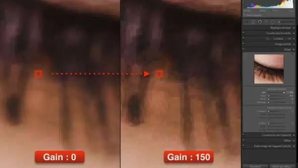 Comparaison de photo détail : gain 0 vs gain 150. Le gain augmente la netteté, mais peut aussi introduire du bruit.