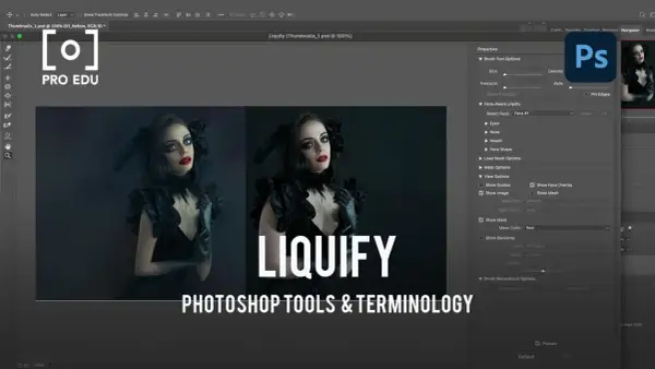 Interface Photoshop avec l'outil Fluidité activé, montrant des options pour retoucher un visage.